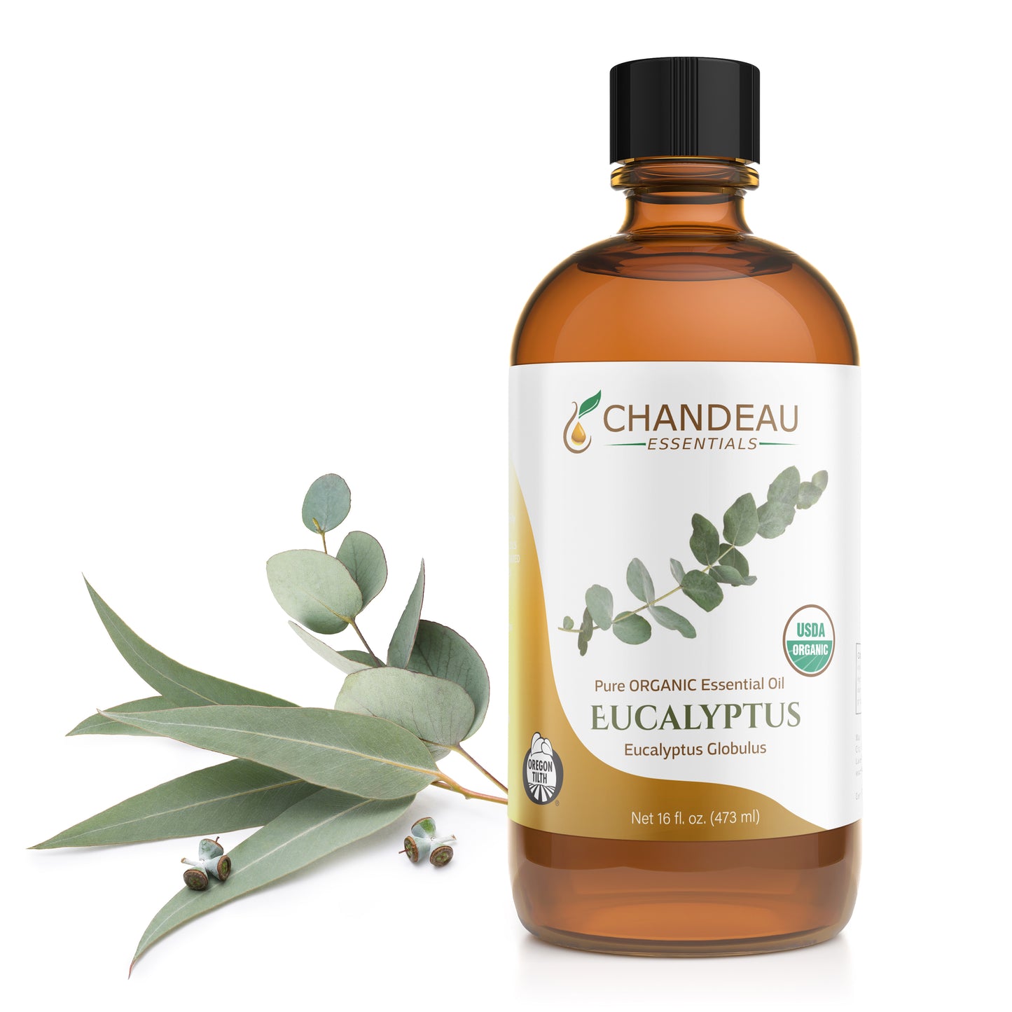 A bottle of Chandeau Essentials 100% Pure USDA Certified Organic Eucalyptus Essential Oil 16oz with a label showing the brand name and the type of oil. The bottle is accompanied by a sprig of eucalyptus leaves.