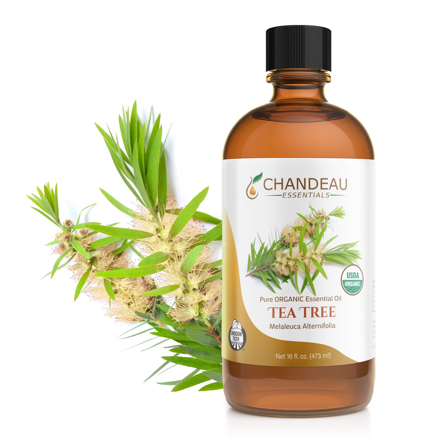 Organic Tea Tree Essential Oil 16oz