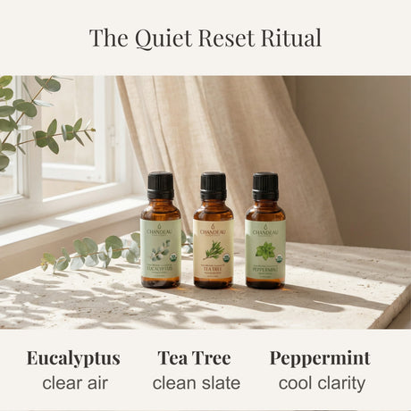 Quiet Reset — Ritual Oil Bundle