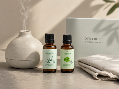 Eucalyptus and Peppermint Diffuser Blend — the Hour the House Resets