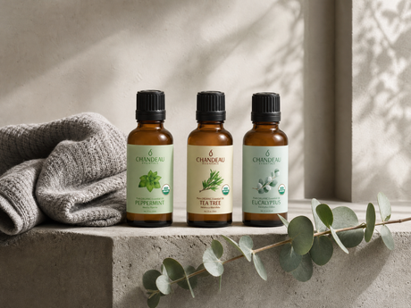 Best Essential Oils for Home Gym Diffuser — Cool Air, Hard Floors, Nothing Sweet