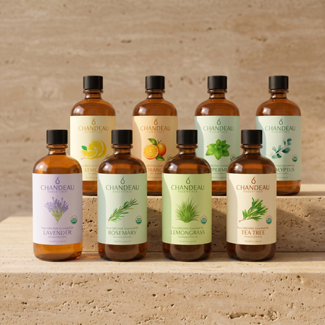 Explore our refills collection.