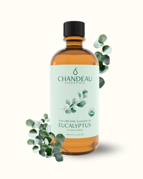 Organic Eucalyptus Essential Oil 16oz