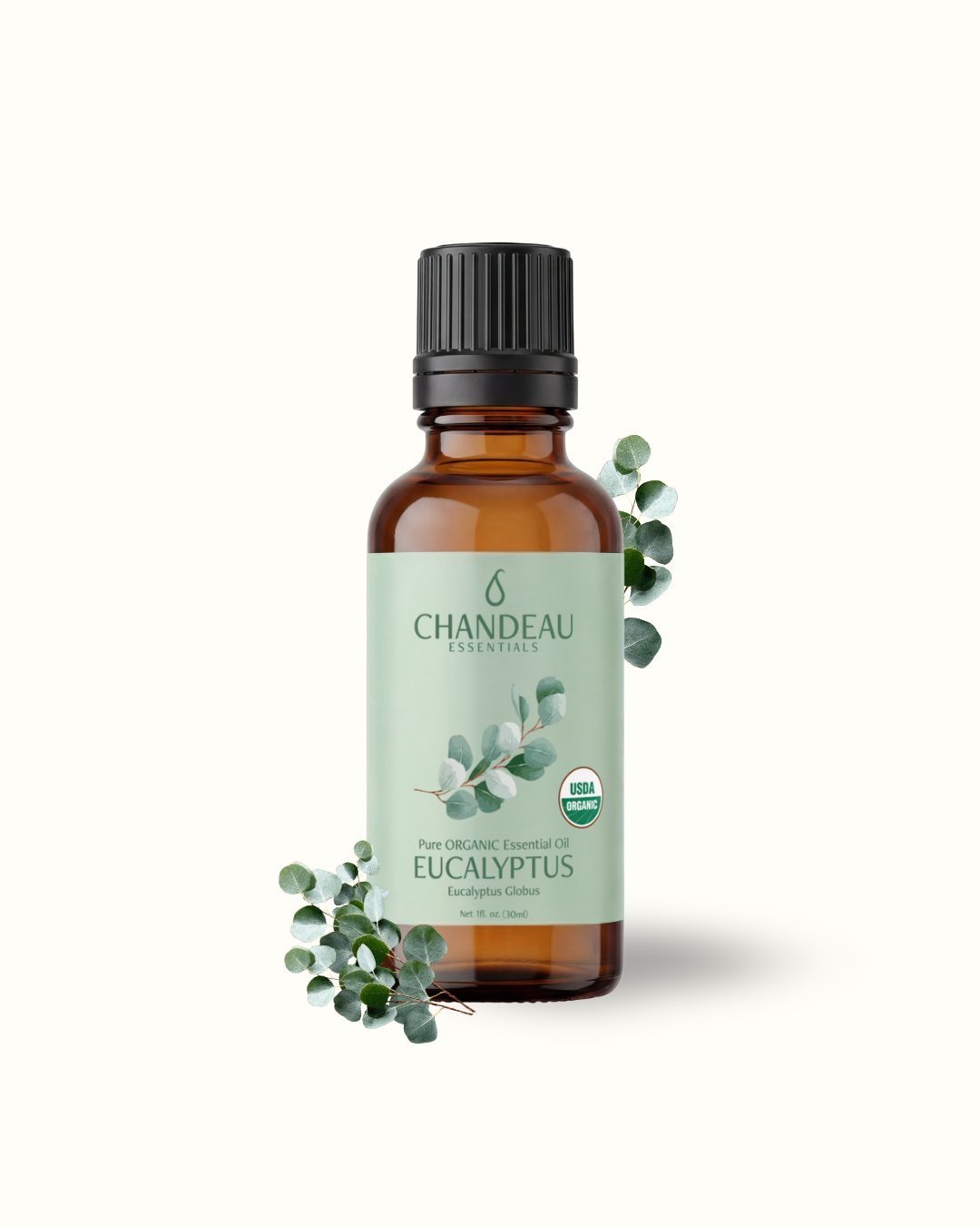 Eucalyptus — Single-Note Essential Oil