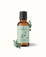 Eucalyptus — Single-Note Essential Oil