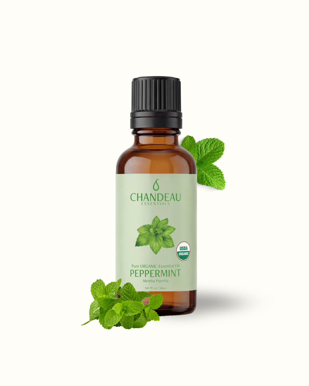 Peppermint — Single-Note Essential Oil