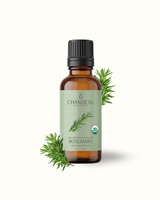 Rosemary — Single-Note Essential Oil