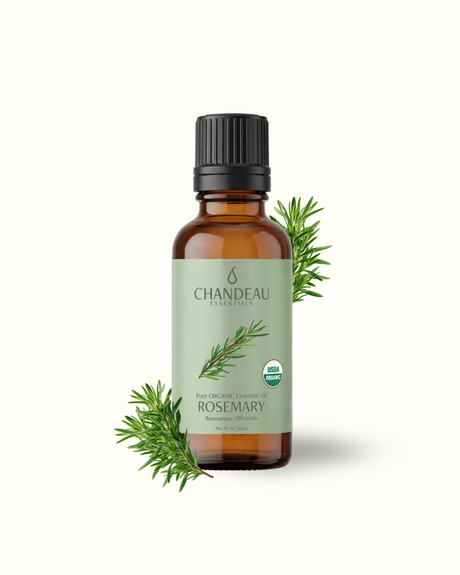 Rosemary — Single-Note Essential Oil