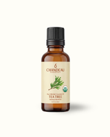 Tea Tree — Single-Note Essential Oil
