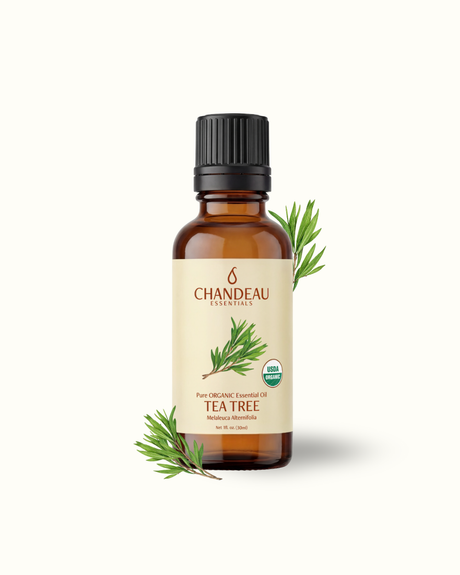 Tea Tree — Single-Note Essential Oil