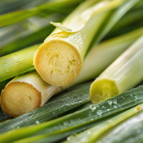 Lemongrass — Single-Note Essential Oil