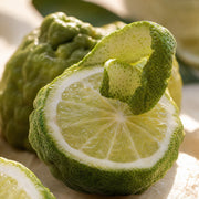 Bergamot Oil — Single-Note Essential Oil