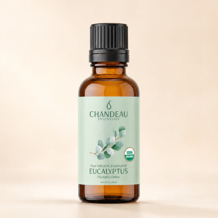 Eucalyptus — Single-Note Essential Oil