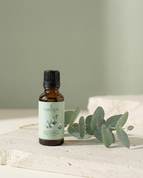 Eucalyptus — Single-Note Essential Oil