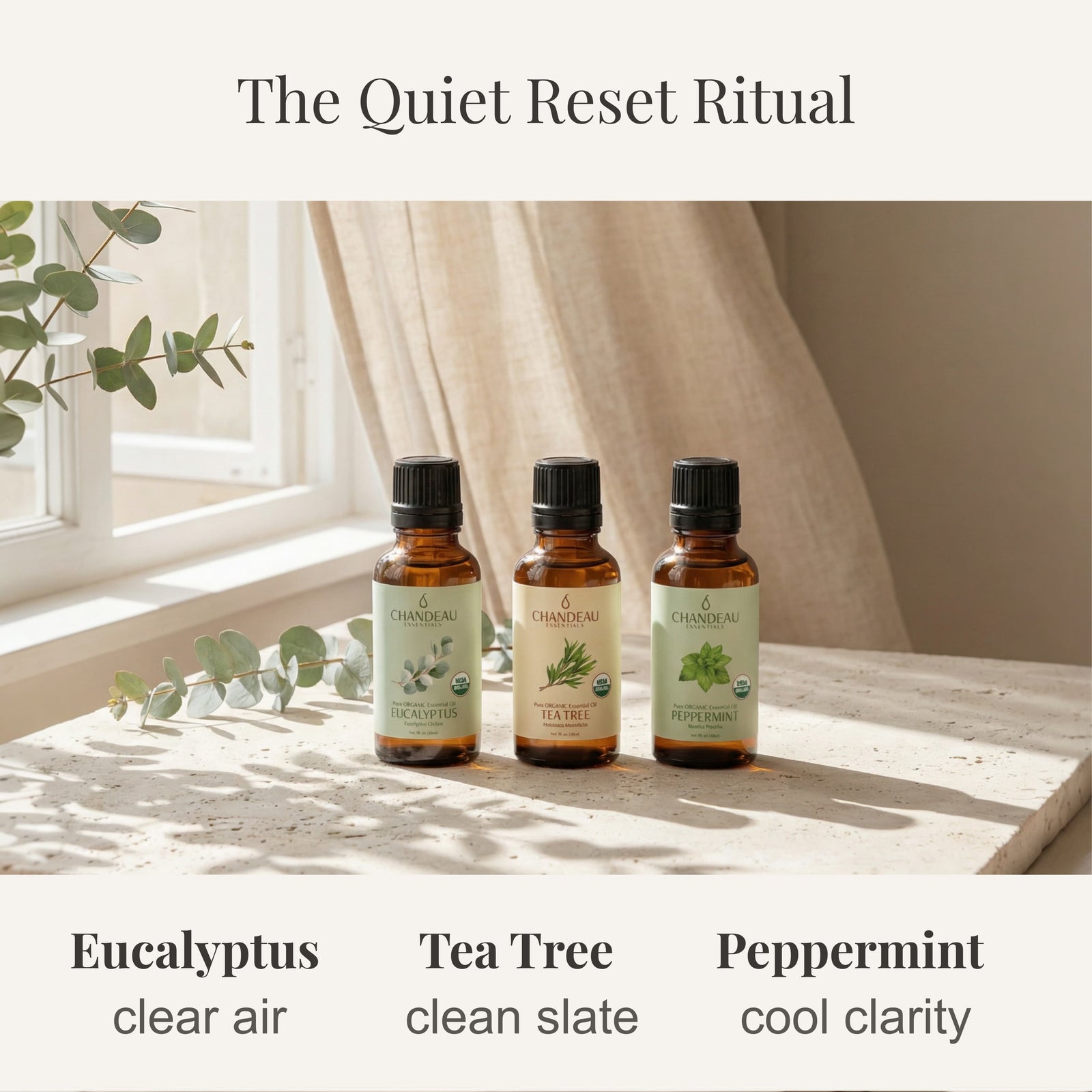 Quiet Reset — Essential Oils & Diffuser Set product photo 2