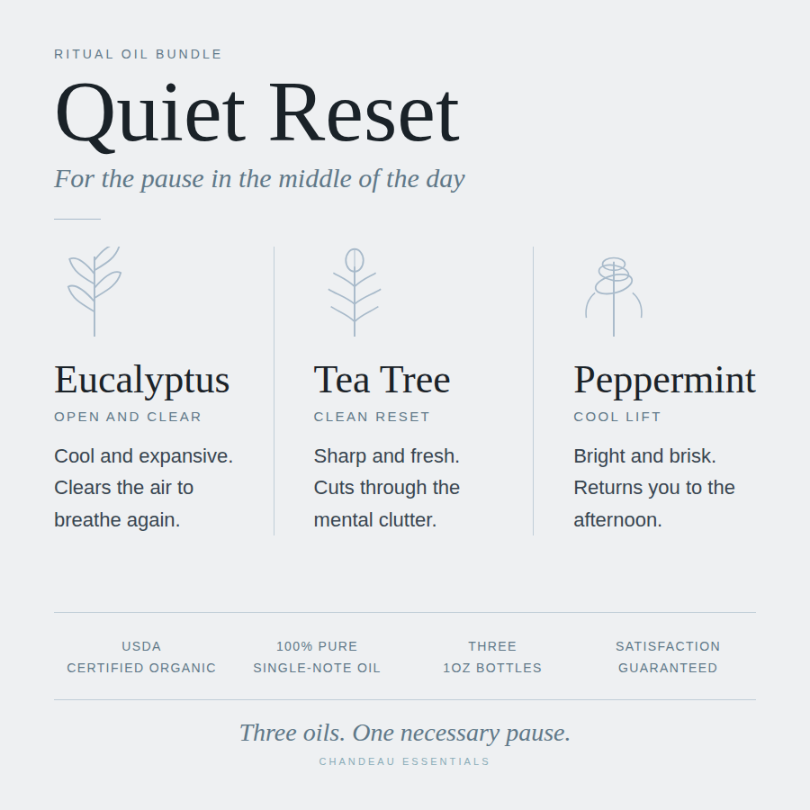 Quiet Reset — Ritual Oil Bundle
