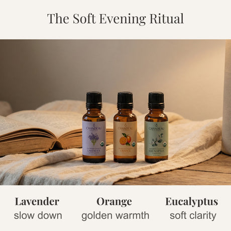 Soft Evening — Ritual Oil Bundle