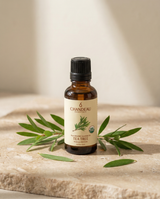 Tea Tree — Single-Note Essential Oil